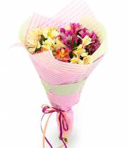 7 Alstroemeria