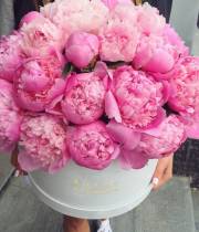 Pink peonies (import) in the box "Jazz"