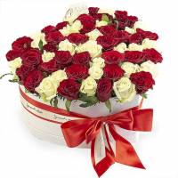 51 white and red roses in a heart box