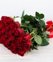 25 red imported roses