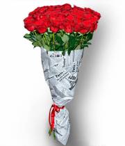 51 red meter rose