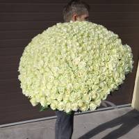 333 white roses in a bouquet