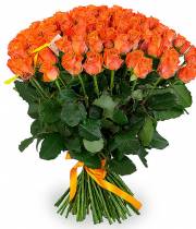 101 orange rose - a variety of Wow