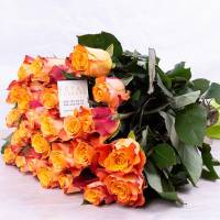 15 Fire Roses - High & Yellow Flame
