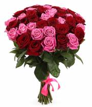 51 roses, bouquet "Symbiosis of color"