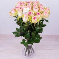 15 roses Esperance - Airy tenderness