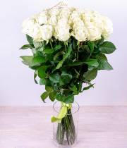 21 white rose - Avalanche