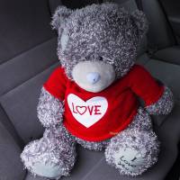 Bear Teddy love