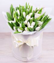 51 white tulip in a hatbox