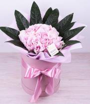 5 hydrangeas in the box - "Ocean"