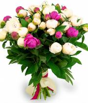 Bouquet of peonies Compliment