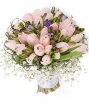 Tulips 101 Cream
