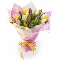 25 multicolored tulips in a bouquet