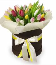 35 tulips in a hatbox