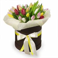 35 tulips in a hatbox