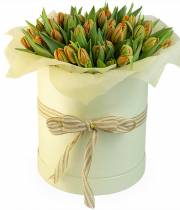 51 orange tulip in a box