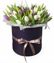 51 tulip in a hatbox