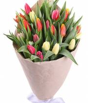 Bouquet of 29 tulips mix